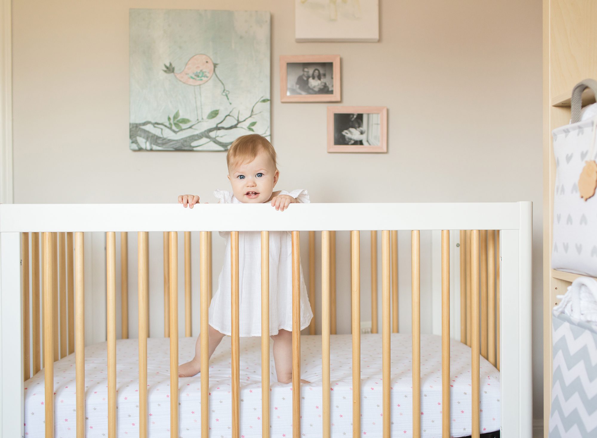 in home lifestyle first birthday family session baby p
