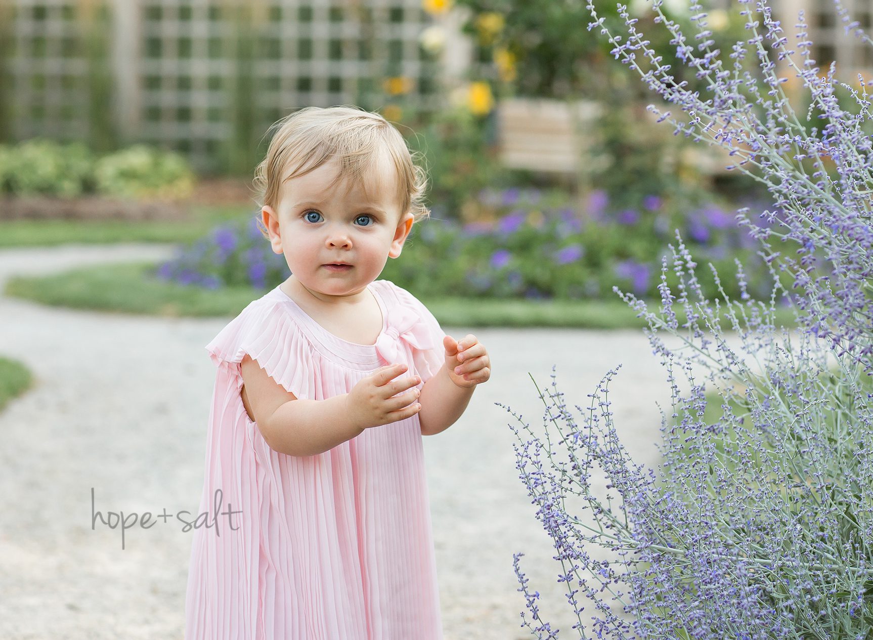 first birthday outdoor summer family photos in lavender flower garden_milton baby photographer hope and salt