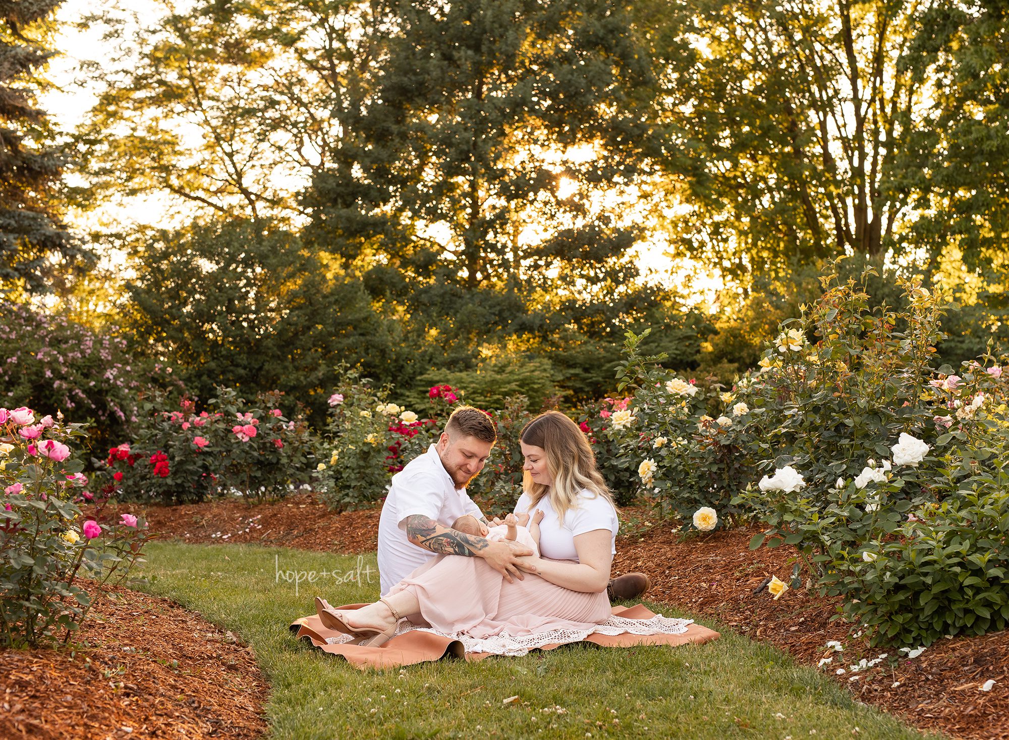 burlington outdoor newborn baby photographer - flower rose garden sunset family session