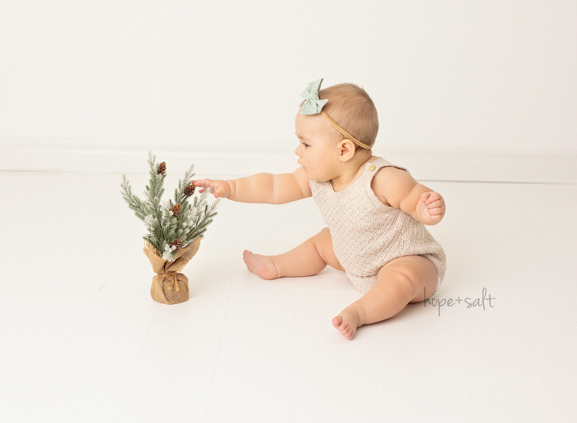 sitter-girl-8-months-old-in-studio-reaching-to-touch-tiny-christmas-pine-tree-burlington-newborn-photographer